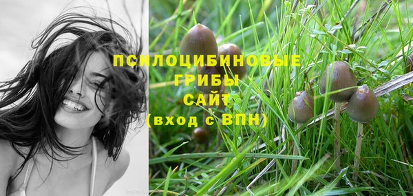 МДМА Алексеевка