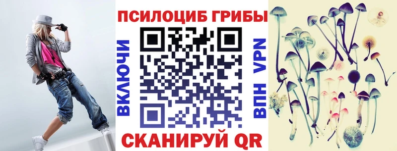 Галлюциногенные грибы Cubensis Камызяк